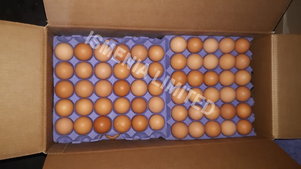 Eggs Loadings